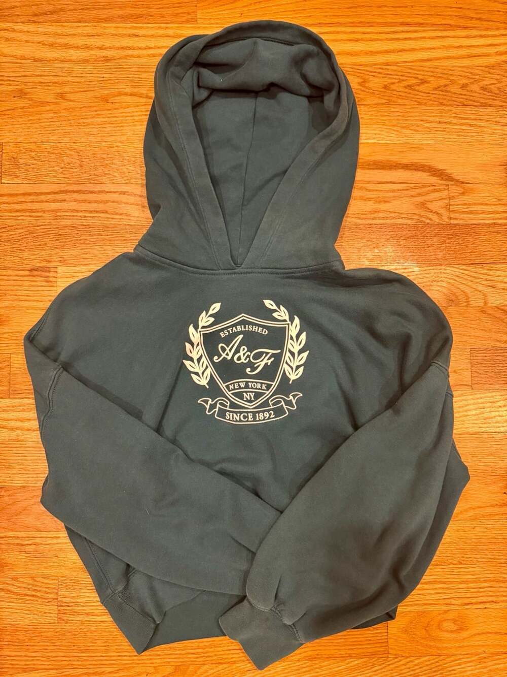 Abercrombie & Fitch Soft A&F Collection Crest Logo Hoodie Size M Green